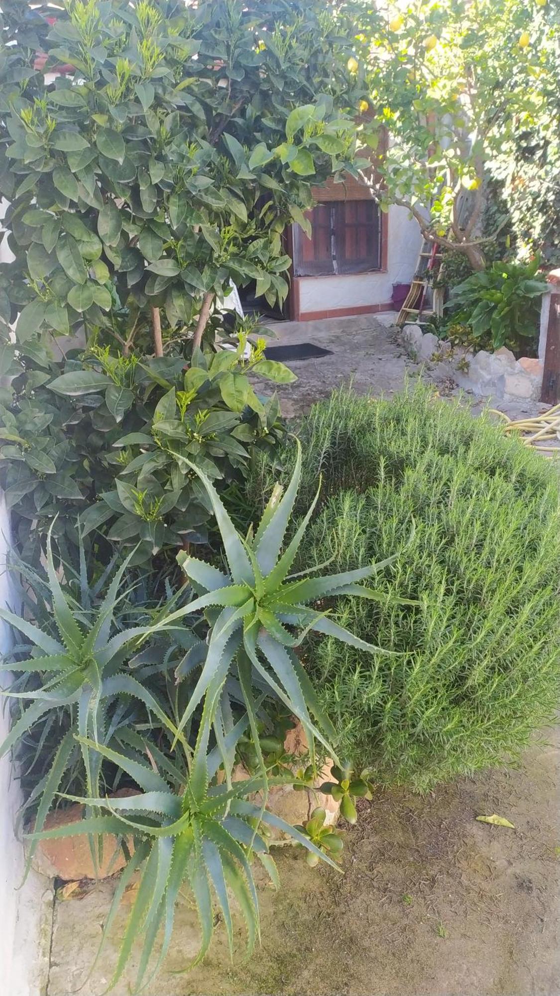 Antica Baita Gergei Exterior photo
