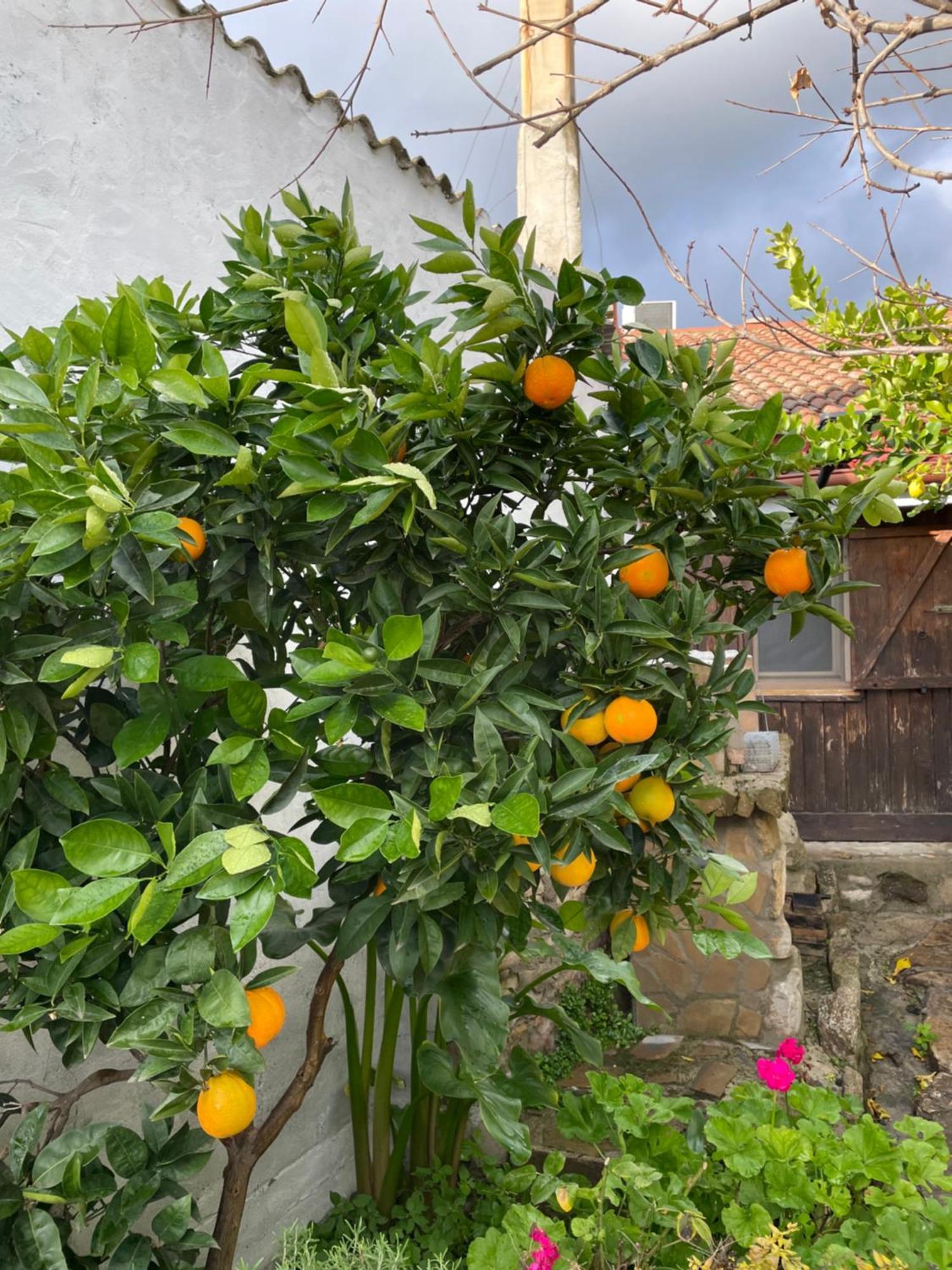 Antica Baita Gergei Exterior photo